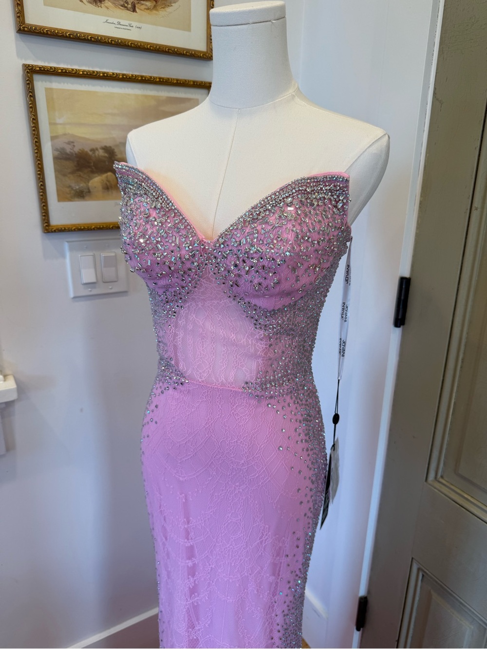 Jovani NWT Pink Lace Gown - Picture 8 of 8
